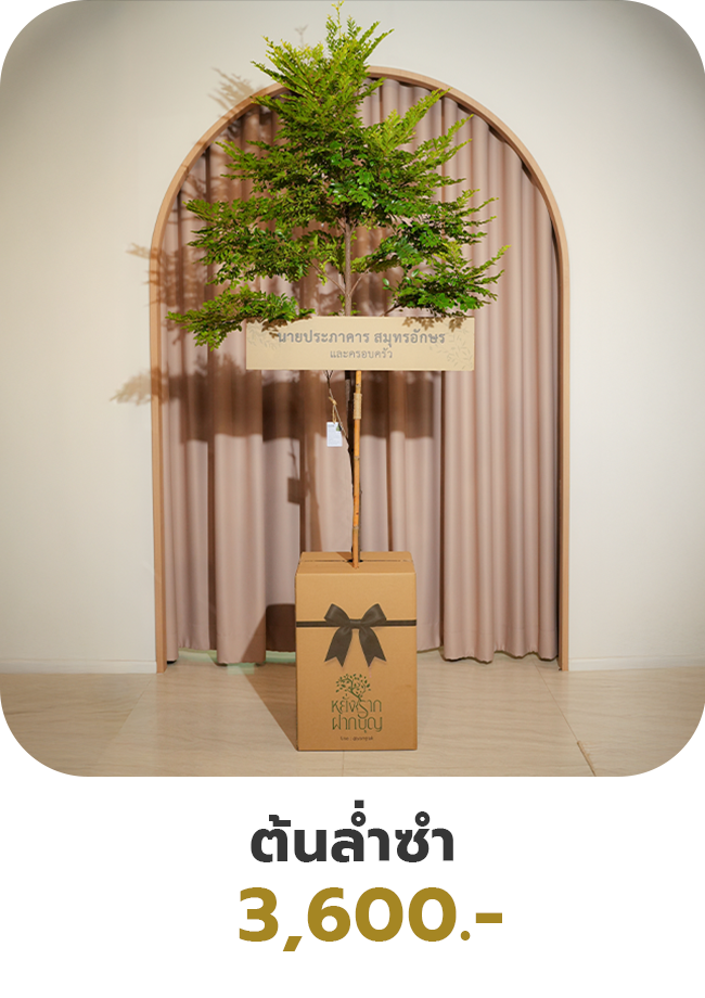 ต้นล่ำซำ