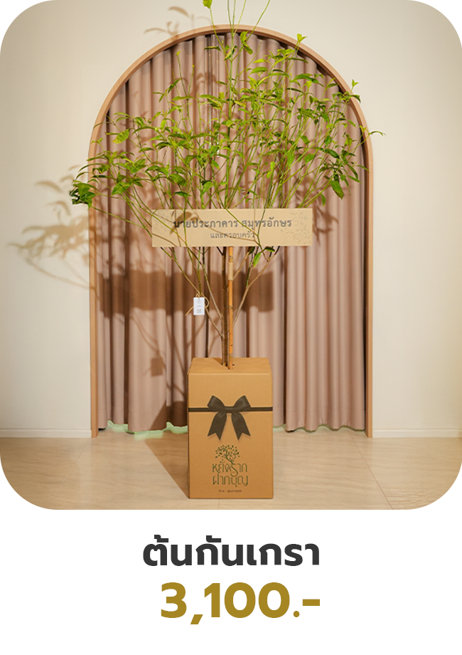 ต้นกันเกรา