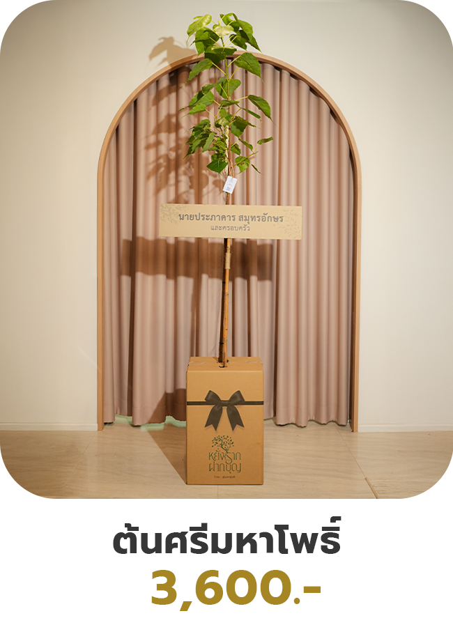 ต้นศรีมหาโพธิ์