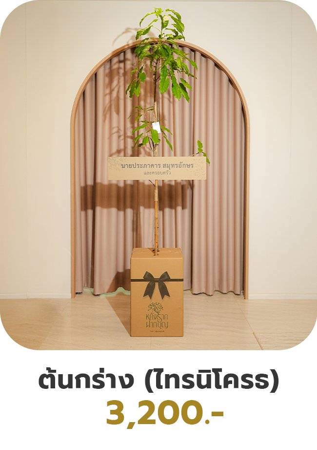 ต้นกร่าง (ไทรนิโครธ)