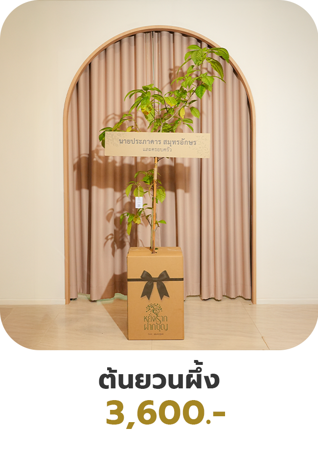 ต้นยวนผึ้ง